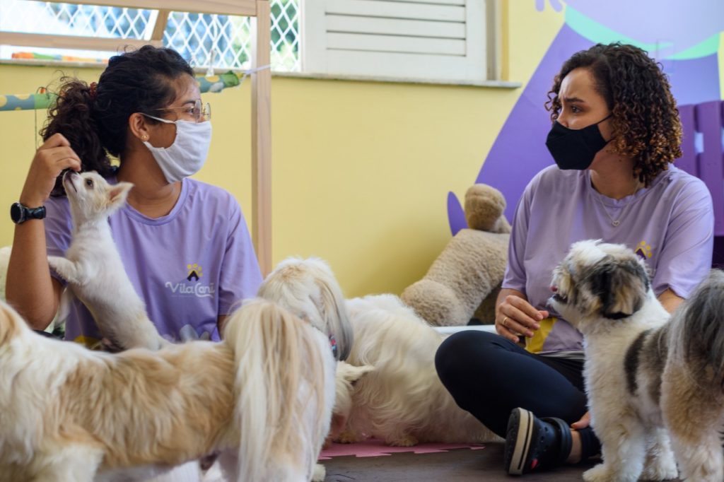 vila-cani-creche-cachorro-salvador-socialização